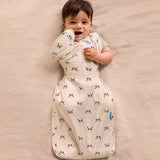 Swaddle Up™ 2-in-1 Transition Bag 1.0 TOG Cotton Cream Sleepy Pandas